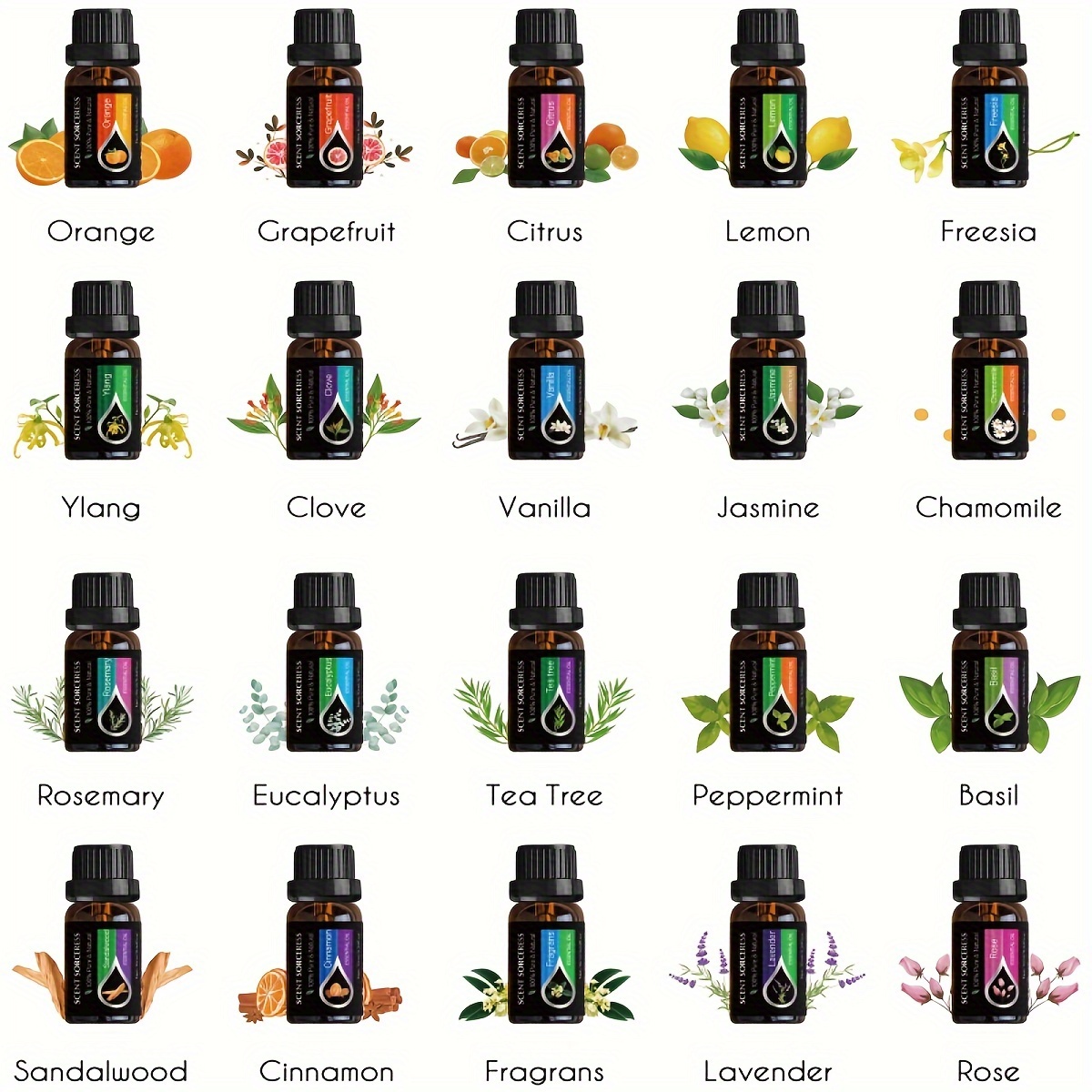20pcs/set Essential Oil Set La - đánh giá và giá Fragrance Oil Set