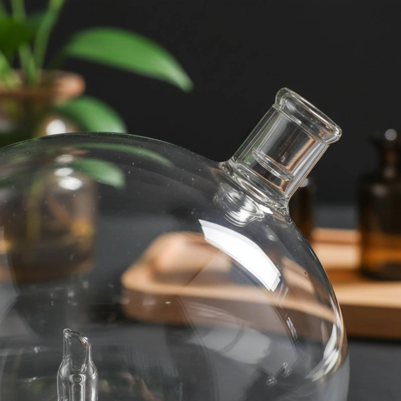 Diffuser Bottle Universal Fit  - đánh giá và giá Home Fragrance